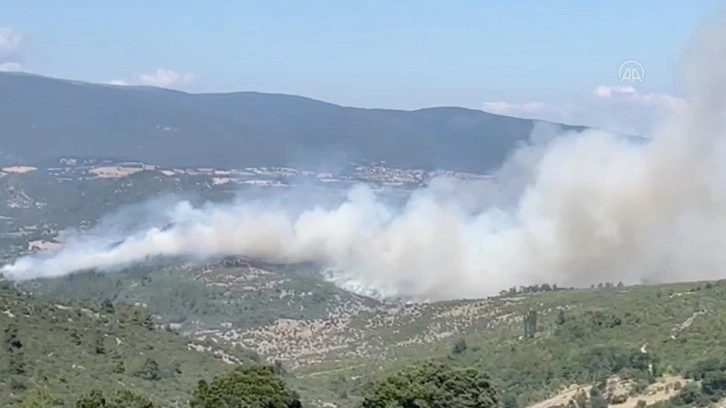 Balıkesir'de orman yangın! Rüzgar yangını iyice büyüttü