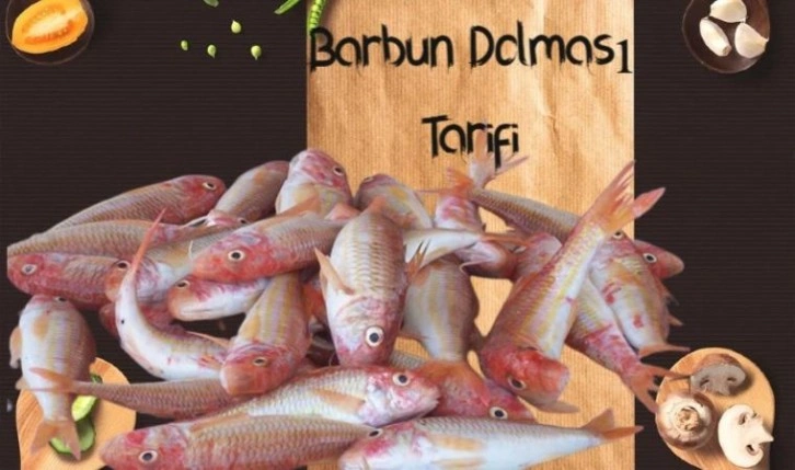 Barbun Dolması malzemeleri nelerdir? Barbunya Dolması nasıl yapılır? Barbun Dolması tarifi...