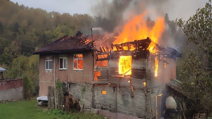 Bartın'da çıkan yangında 2 ev kül oldu