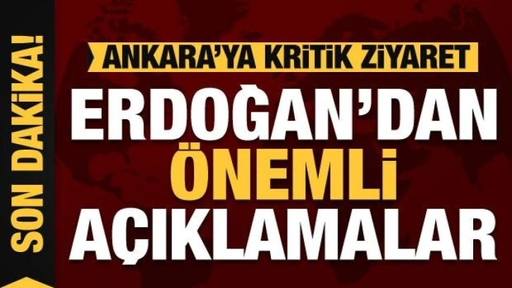 Cumhurbaşkanı Erdoğan'dan önemli açıklamalar! Macaristan'a doğal gaz desteği verilecek