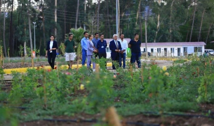 Başkan Gürün 'Tıbbi Bitkiler Koleksiyon Bahçesi’ni inceledi