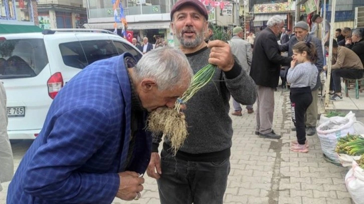 Batman'da toplanan bu otun kilosu bin liradan satılıyor