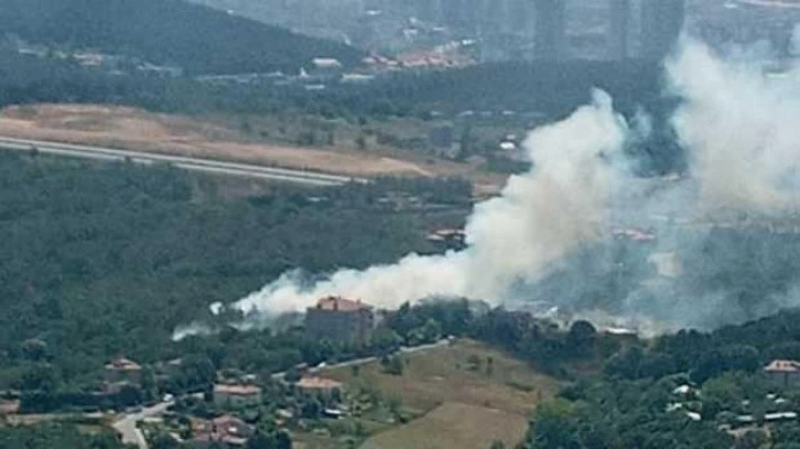 Beykoz'daki orman yangınıyla ilgili bir kişi gözaltında!