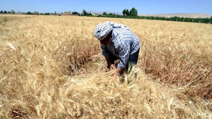 Bilecik'te 208 çiftçiye 10 ton yonca tohumu verildi