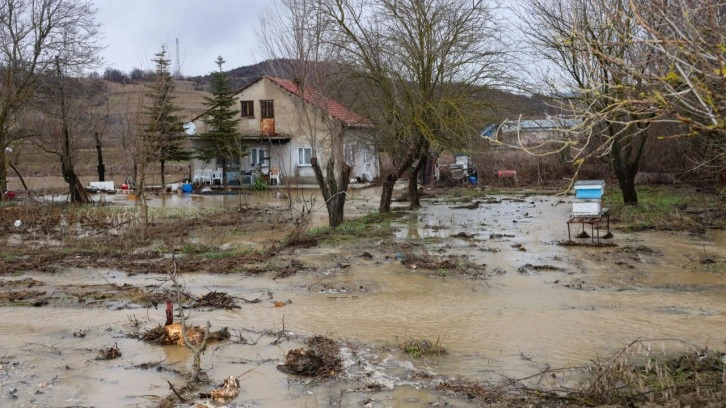 Bilecik'te Karasu Deresi taştı, birçok tarım arazisi ve iki ev su altında kaldı