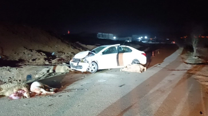 Bilecik'te otomobil koyun sürüsüne çarptı, 1 kişi yaralandı