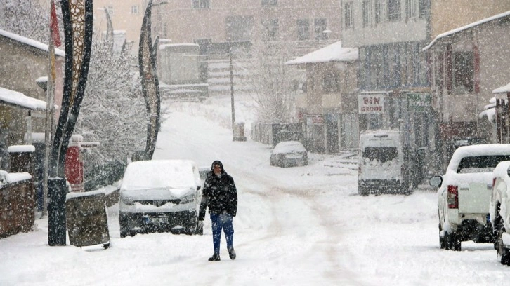 Bingöl'de kar nedeniyle 10 köy yolu ulaşıma kapandı