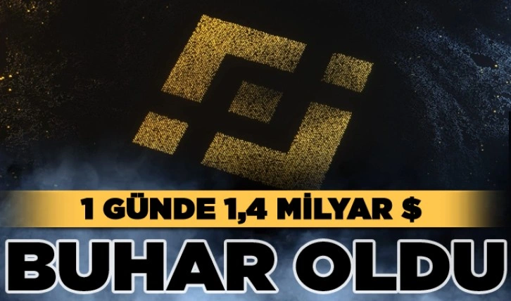 Bir günde 1,14 milyar dolar buhar oldu