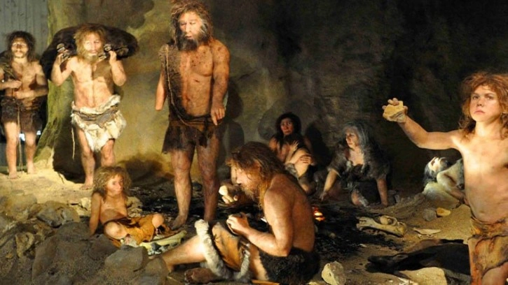 Bir Mağarada 40 Bin Yıllık Hayvan Kafatasları Bulundu