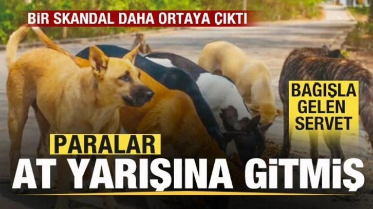 Bir skandal daha ortaya çıktı! Paralar at yarışına gitmiş