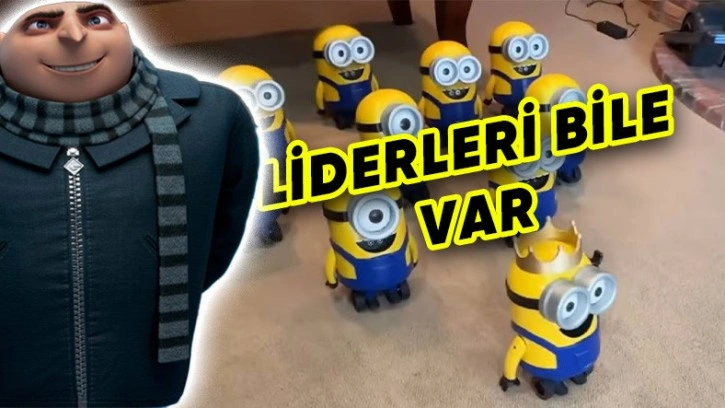 Bir YouTuber, Gerçek Minyon Ordusu Kurdu [Video]