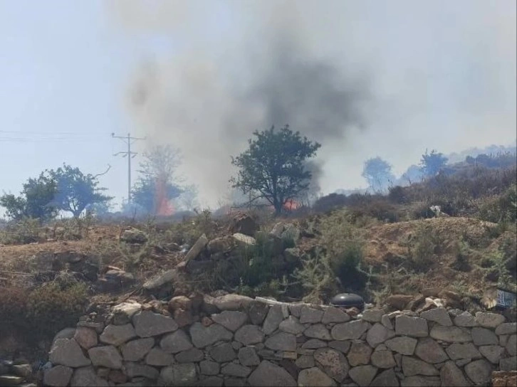 Bodrum'daki makilik yangını kontrol altına alındı