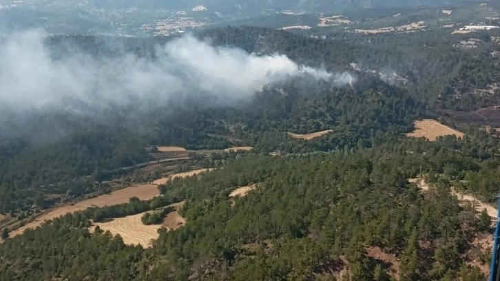 Bolu'da yürekleri ağza getiren yangın! Rüzgarın etkisiyle arttı