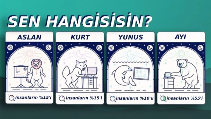 Bu 6 "Uykucu" Tipten Hangisisin?