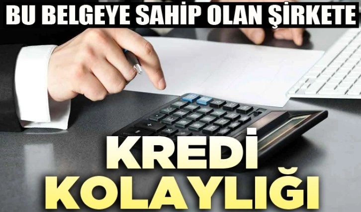 Bu belgeye sahip olan şirkete kredi kolaylığı