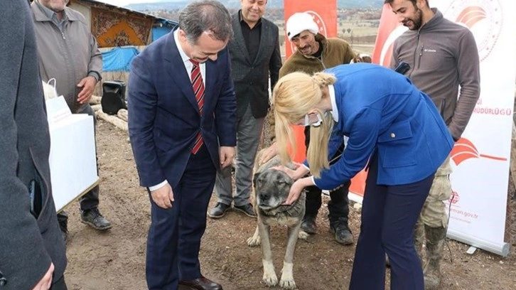 Bu hastalık köpeklerden insanlara bulaşıyor!