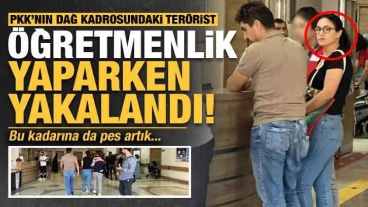 Bu kadarına da pes artık: PKK'nın dağ kadrosundan gelip öğretmenlik yaparken yakalandı!