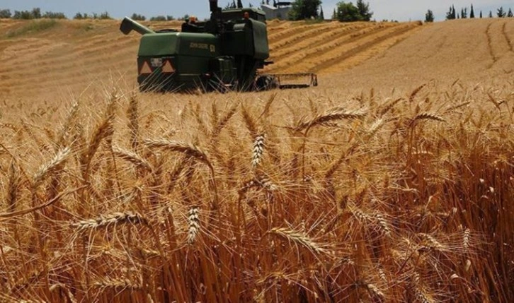 Buğdayda rekolte sorunu yaşanırken, üretim için kaynak bulmak zorlaştırıldı