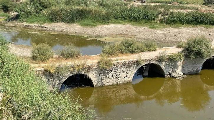 Büyük Menderes'te facia: Kuraklık nedeniyle yüzlerce balık öldü!