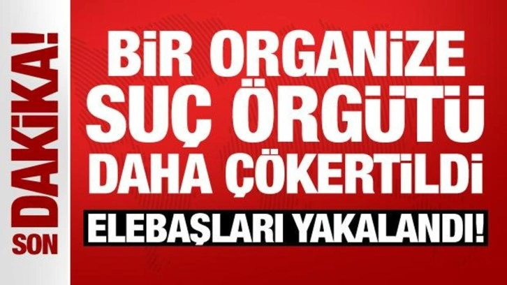 'Çakar' organize suç örgütü çökertildi: Elebaşları yakalandı!