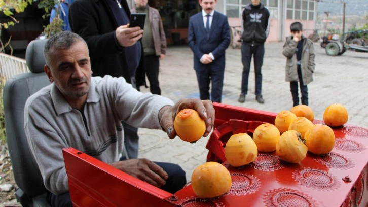 Çamaşır makinesini hurma soyma makinesine dönüştürdü