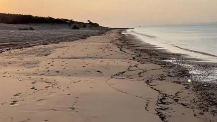 Çanakkale yangınının izleri, Edirne kıyılarında