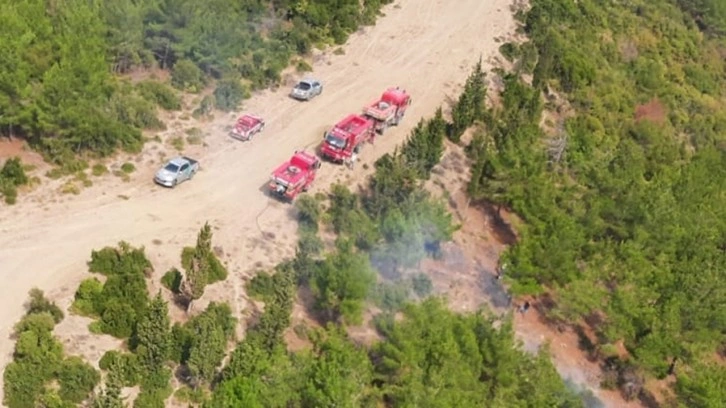 Çanakkale'de 6 noktada orman yangını çıktı!