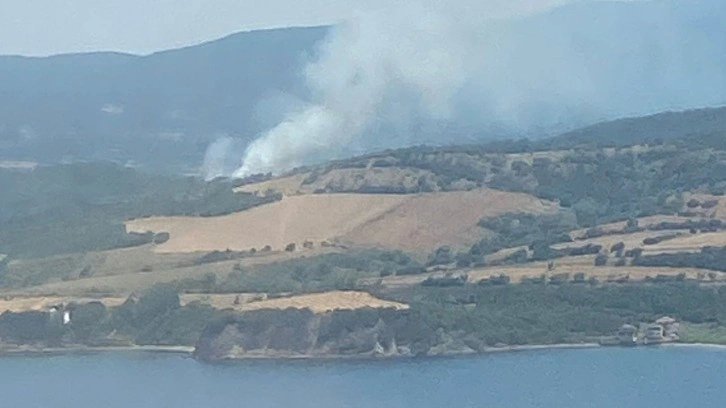 Çanakkale'de orman yangını çıktı! Alevler rüzgarın etkisiyle büyüyor