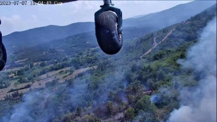 Çanakkale'de orman yangını