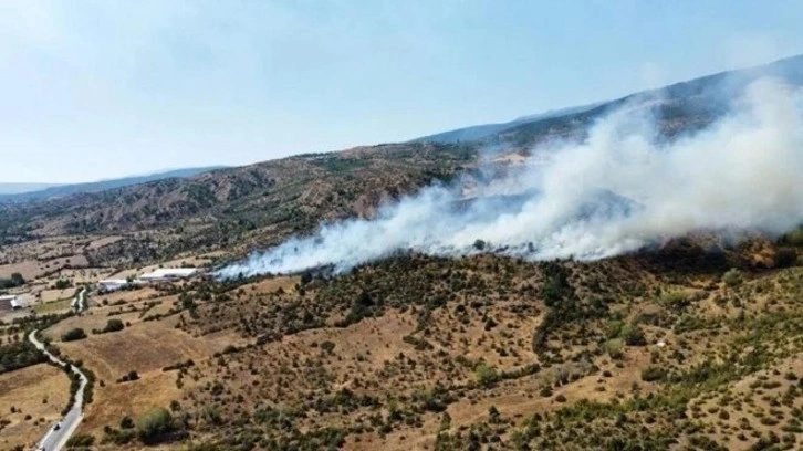 Çankırı'da orman yangını