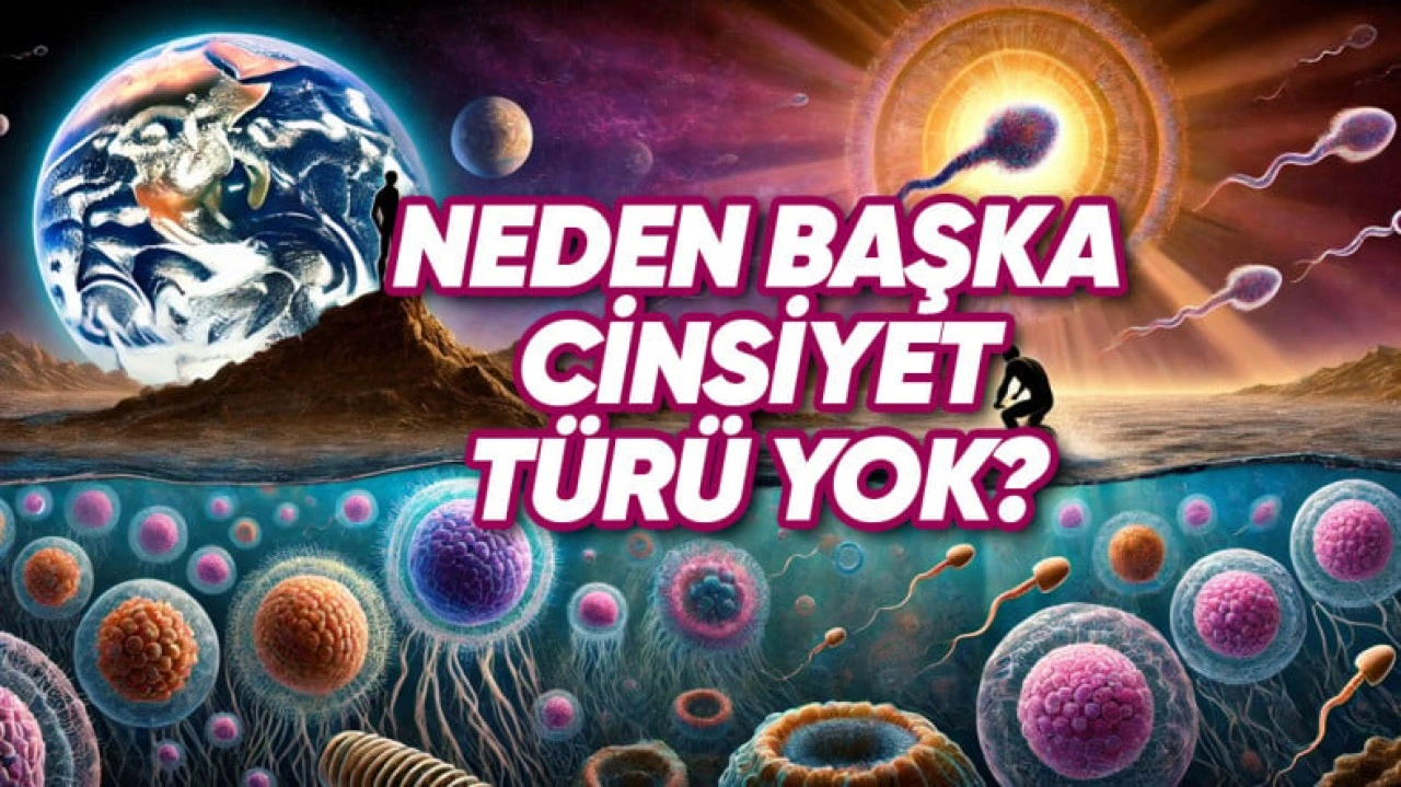 Canlıların Çoğu Neden Bir Erkek Bir Dişi Şekilde Evrimleşti?