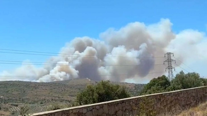 Çeşme'de orman yangını