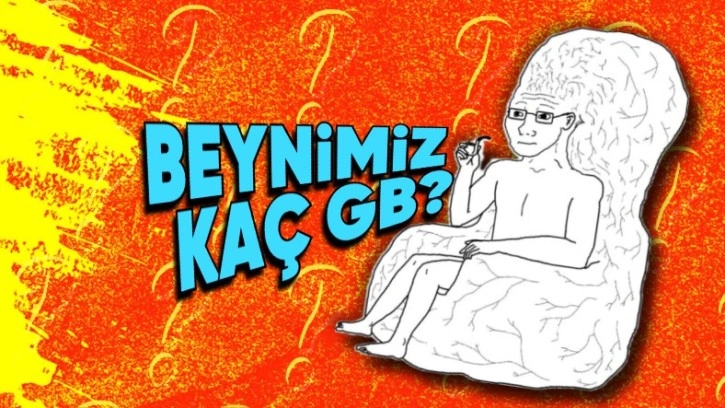 Cevabı Öz Güveninizi Artıracak: Beynimiz Kaç GB?