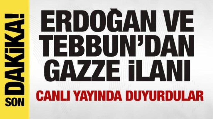 Cezayir'de Cumhurbaşkanı Erdoğan ve Tebbun'dan Gazze ilanı! Canlı yayında duyurdular