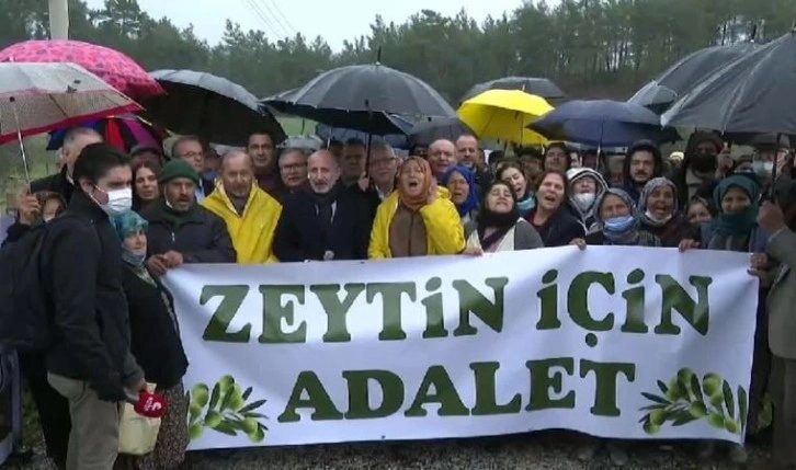 CHP’li Öztunç: Akbelen’i aklınızdan dahi geçirmeyin, zeytin yasanızı tekrar getirmeyin!