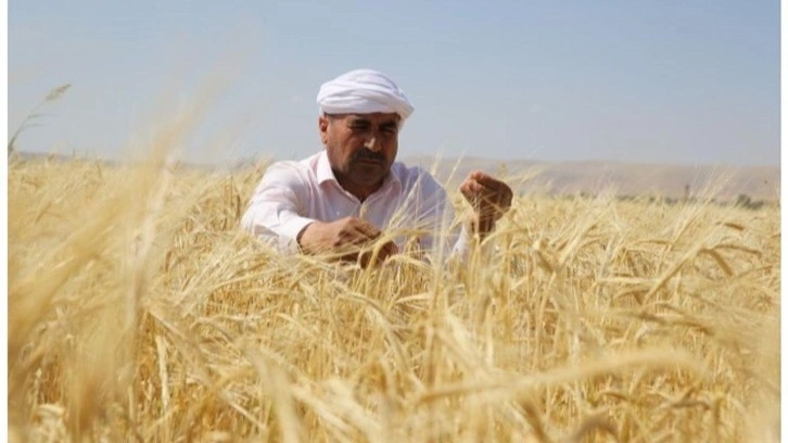 Çiftçiler buğday alım fiyatında revize bekliyor