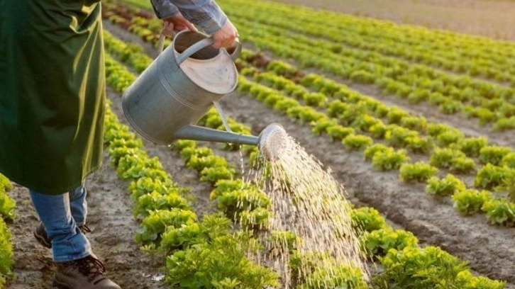 Çiftçilere destekleme ödemesi yapıldı