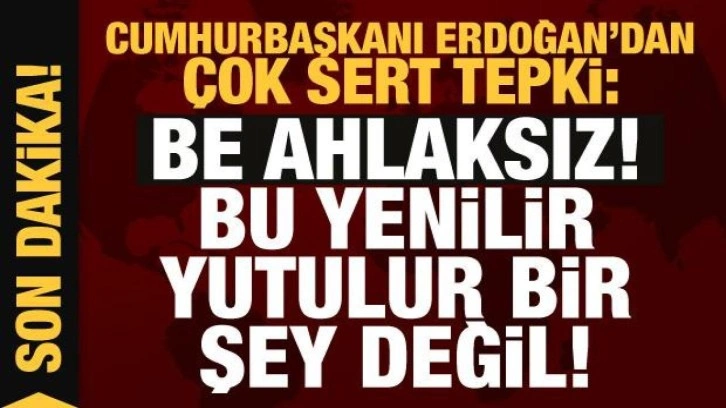 Cumhurbaşkanı Erdoğan: Be ahlaksız! Bu yenilir yutulur bir şey değil