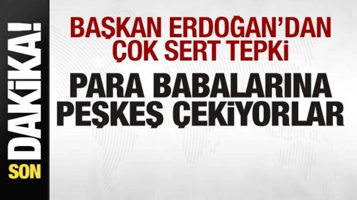 Cumhurbaşkanı Erdoğan'dan çok sert tepki: Para babalarına peşkeş çekiyorlar