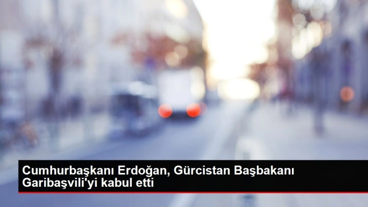 Cumhurbaşkanı Erdoğan, Gürcistan Başbakanı Garibaşvili'yi kabul etti