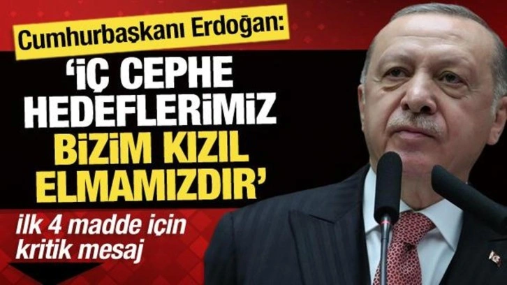 Cumhurbaşkanı Erdoğan: 'İç cephe hedeflerimiz, bizim Kızıl Elmamızdır'