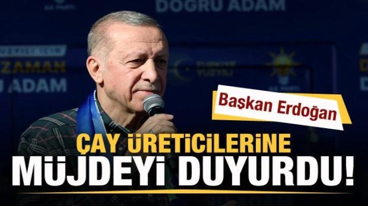 Cumhurbaşkanı Erdoğan memleketi Rize'de müjdeyi duyurdu! İşte yaş çay alım fiyatı!