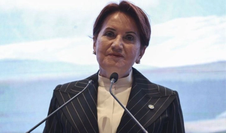 Danışmanı açıkladı: Akşener’i ısıran köpek ve gerçek hikayesi