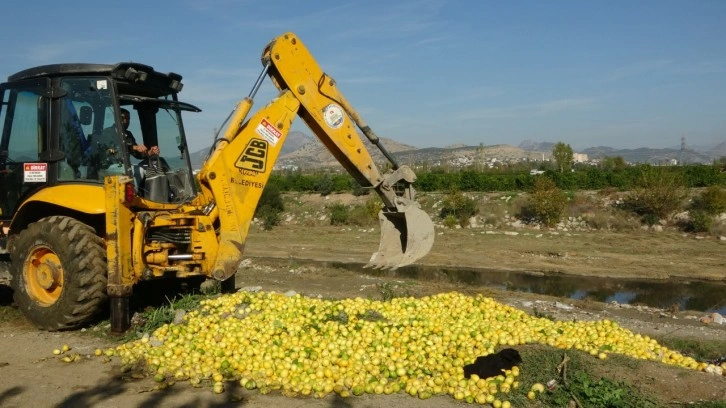 Dere yatağına dökülen tonlarca limon imha edildi