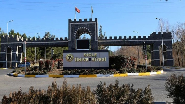 Dicle Üniversitesi'nde dehşet! Eski öğrenci dekan yardımcısını bıçakladı