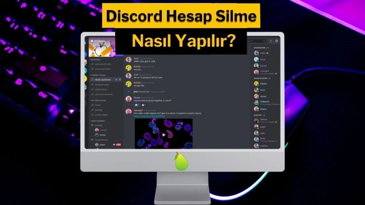 Discord hesap silme nasıl yapılır? [2024 Güncel]