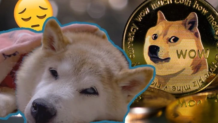 Dogecoin Logosuna İlham Olan Köpek Kansere Yakalandı