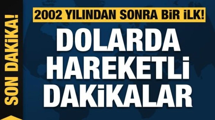 Dolar 17 liranın üzerini test etti