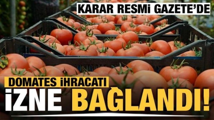 Domates ihracatı izne bağlandı