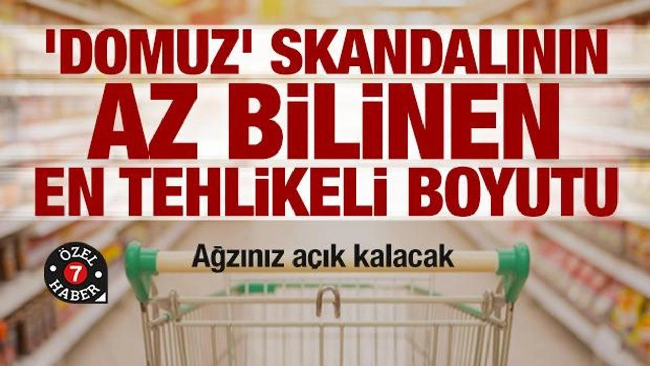 'Domuz' skandalının az bilinen en tehlikeli boyutu: Jelatin